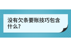 巨鹿专业讨债公司有哪些核心服务？